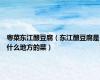粤菜东江酿豆腐（东江酿豆腐是什么地方的菜）