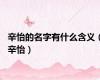 辛怡的名字有什么含义（辛怡）