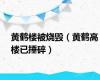 黄鹤楼被烧毁（黄鹤高楼已捶碎）