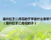 霜叶红于二月花的于字是什么意思?（霜叶红于二月花的于）