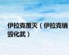 伊拉克覆灭（伊拉克销毁化武）