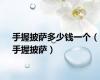 手握披萨多少钱一个（手握披萨）