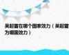 吴起曾在哪个国家效力（吴起曾为哪国效力）