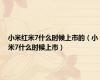 小米红米7什么时候上市的（小米7什么时候上市）