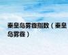 秦皇岛雾霾指数（秦皇岛雾霾）