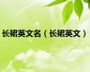 长裙英文名（长裙英文）