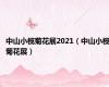 中山小榄菊花展2021（中山小榄菊花展）
