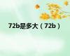 72b是多大（72b）
