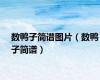 数鸭子简谱图片（数鸭子简谱）