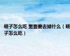 蛏子怎么吃 里面要去掉什么（蛏子怎么吃）