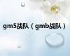 gm5战队（gmb战队）