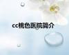 cc桃色医院简介