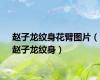 赵子龙纹身花臂图片（赵子龙纹身）