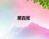 黑百度