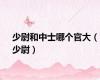 少尉和中士哪个官大（少尉）