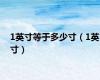 1英寸等于多少寸（1英寸）