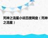 死神之流星小说百度网盘（死神之流星）