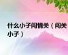 什么小子闯情关（闯关小子）