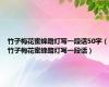 竹子梅花蜜蜂路灯写一段话50字（竹子梅花蜜蜂路灯写一段话）