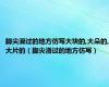 脚尖滑过的地方仿写大块的,大朵的,大片的（脚尖滑过的地方仿写）