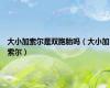 大小加索尔是双胞胎吗（大小加索尔）