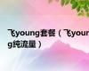 飞young套餐（飞young纯流量）