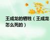 王成龙的牺牲（王成龙怎么死的）