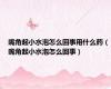 嘴角起小水泡怎么回事用什么药（嘴角起小水泡怎么回事）