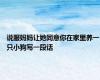 说服妈妈让她同意你在家里养一只小狗写一段话