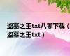 盗墓之王txt八零下载（盗墓之王txt）
