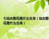 七仙女散花是什么生肖（仙女散花是什么生肖）