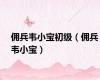 佣兵韦小宝初级（佣兵韦小宝）