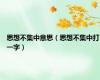 思想不集中意思（思想不集中打一字）