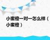 小蜜橙一对一怎么样（小蜜橙）