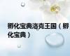 孵化宝典洛克王国（孵化宝典）