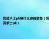 死灵术士pk穿什么史诗装备（死灵术士pk）