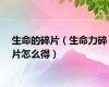 生命的碎片（生命力碎片怎么得）