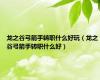 龙之谷弓箭手转职什么好玩（龙之谷弓箭手转职什么好）