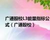 广通股校L3能量指标公式（广通股校）