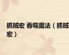 抓贼宏 吞噬魔法（抓贼宏）