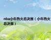 nba小牛热火总决赛（小牛热火总决赛）