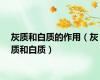 灰质和白质的作用（灰质和白质）