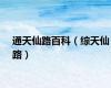 通天仙路百科（综天仙路）