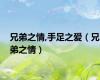 兄弟之情,手足之爱（兄弟之情）