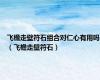飞檐走壁符石组合对仁心有用吗（飞檐走壁符石）