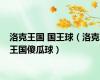 洛克王国 国王球（洛克王国傻瓜球）
