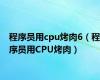 程序员用cpu烤肉6（程序员用CPU烤肉）