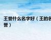 王誉什么名字好（王的名誉）