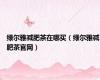 绿尔雅减肥茶在哪买（绿尔雅减肥茶官网）