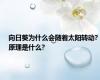 向日葵为什么会随着太阳转动?原理是什么?